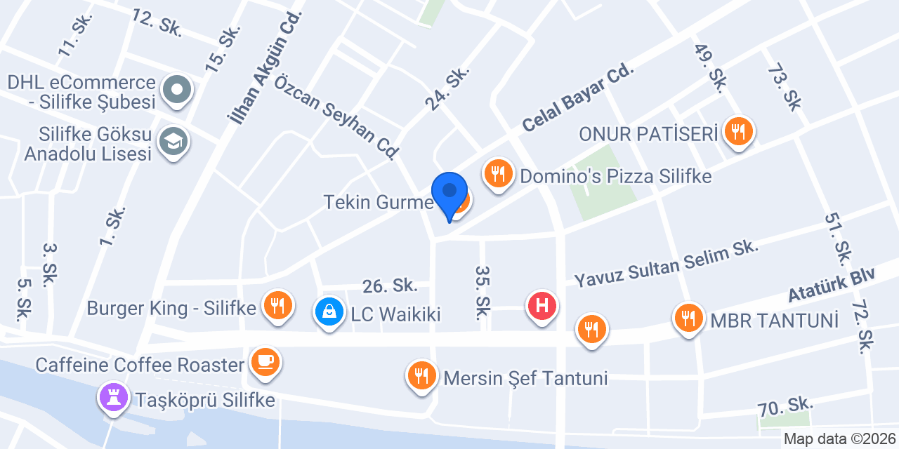 Taylan Elektronik konumu
