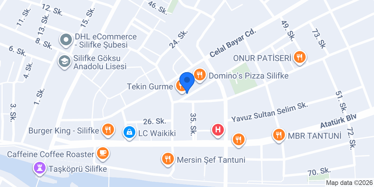 TEMUR ECZANESİ konumu