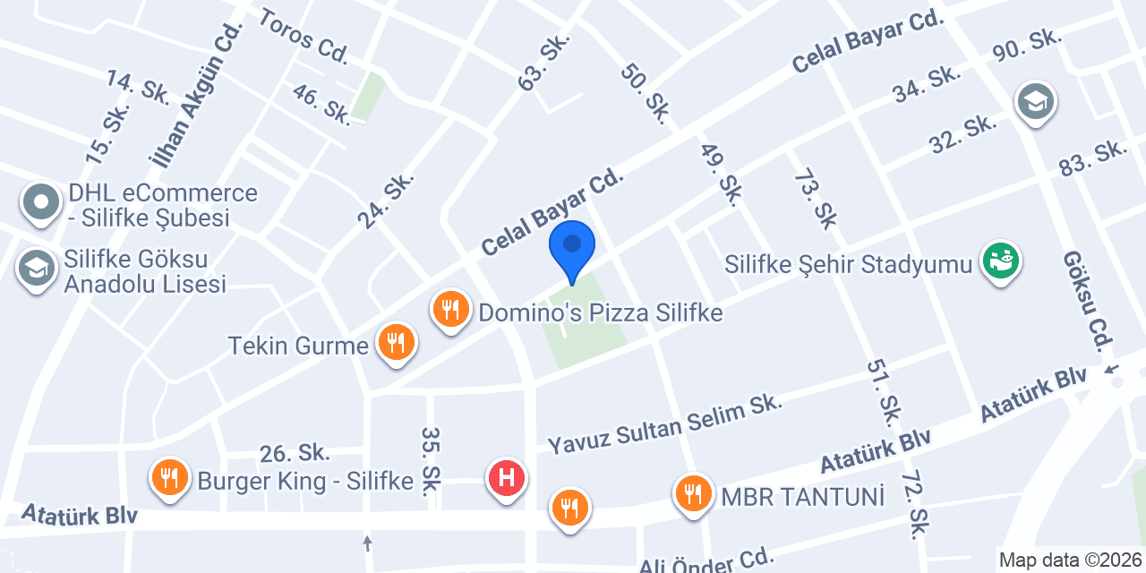 Pioneer Mustafa konumu