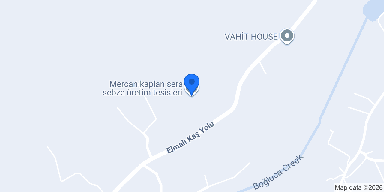 Mercan kaplan sera sebze üretim tesisleri konumu