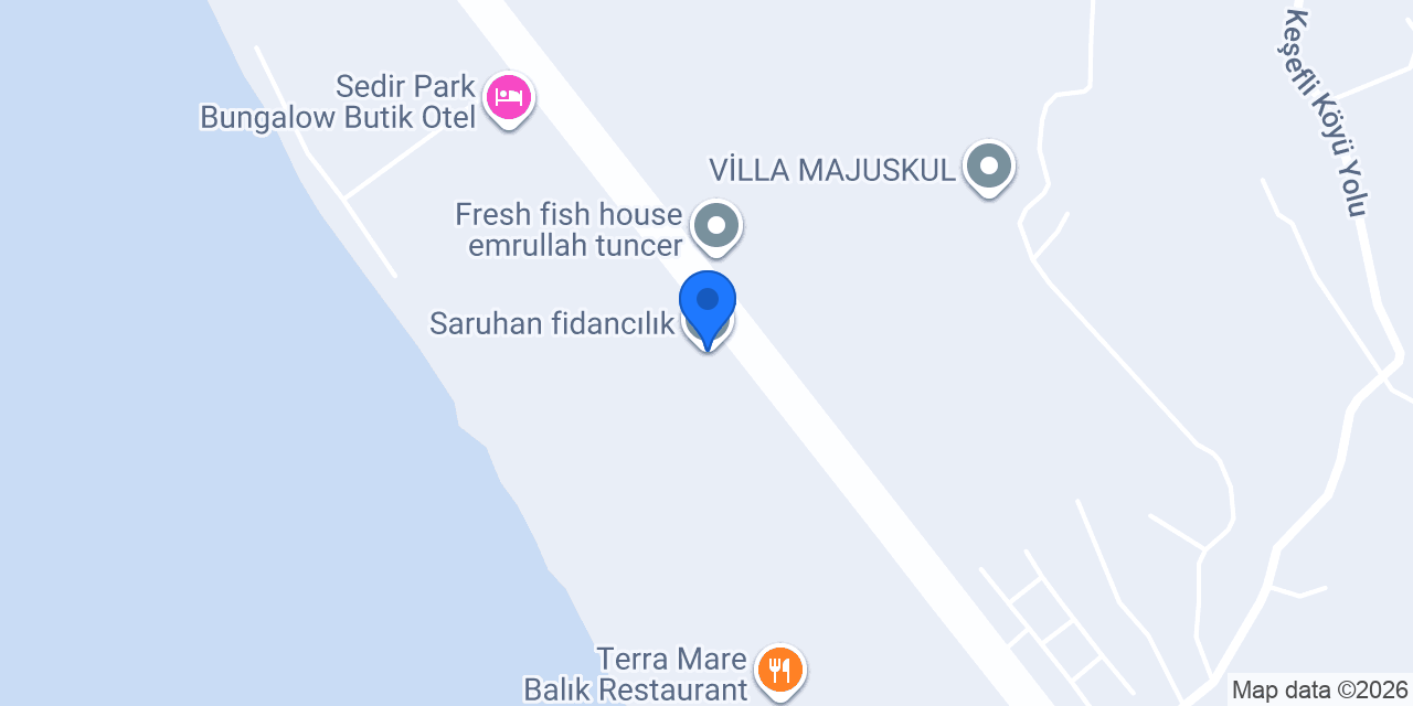 Saruhan fidancılık konumu