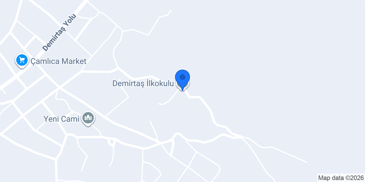 Demirtaş İlkokulu konumu