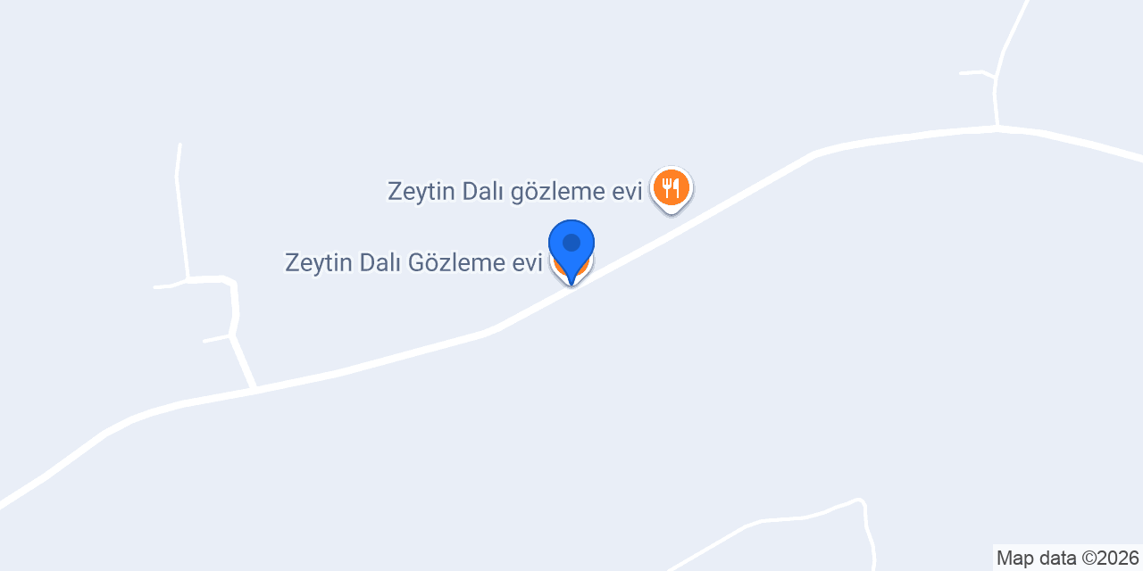 Zeytin Dalı Gözleme evi konumu