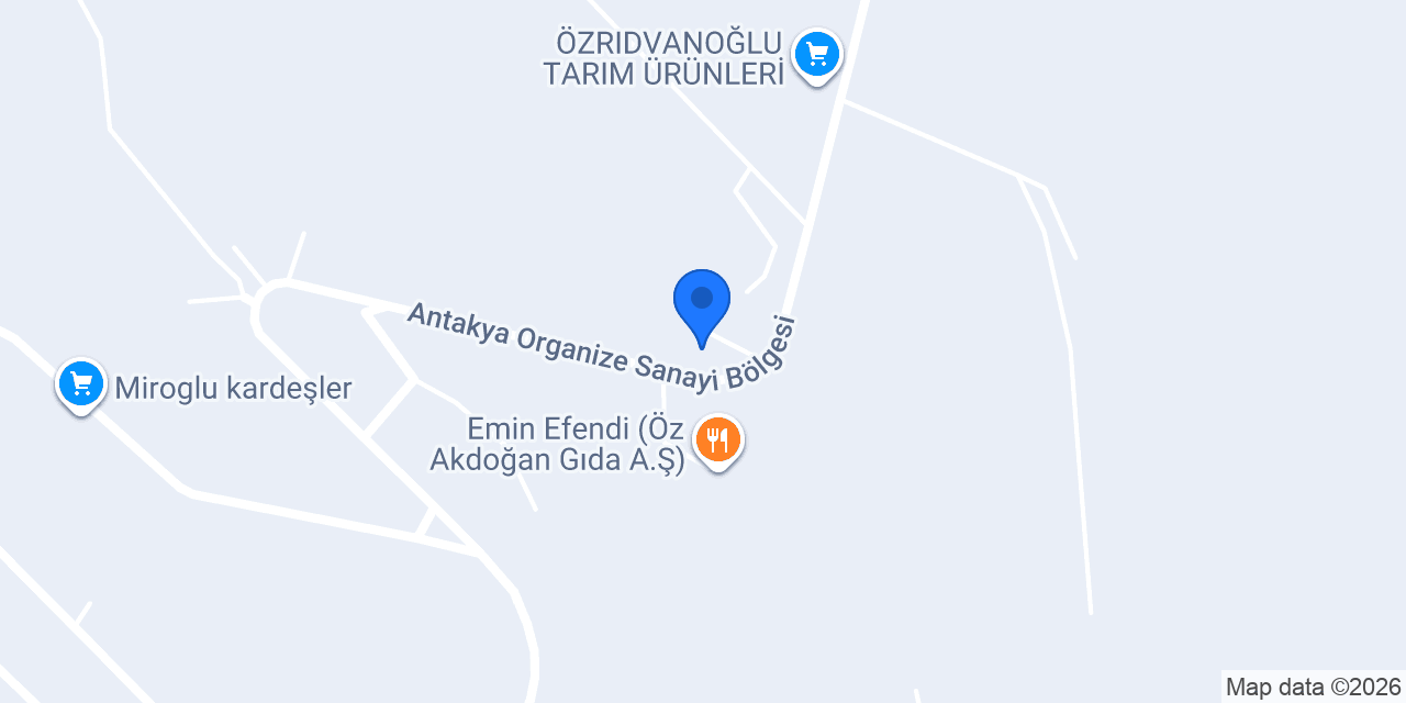 TYCHE ANTAKYA 'dan konumu