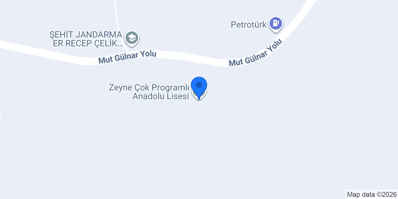Zeyne Çok Programlı Anadolu Lisesi konumu