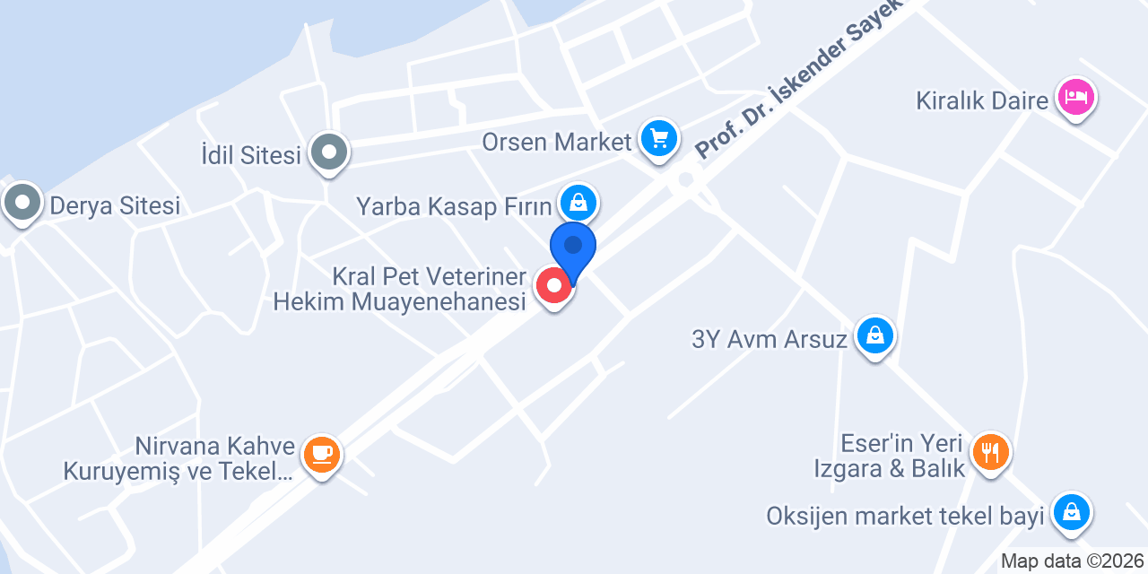 Edi Kokoreç konumu