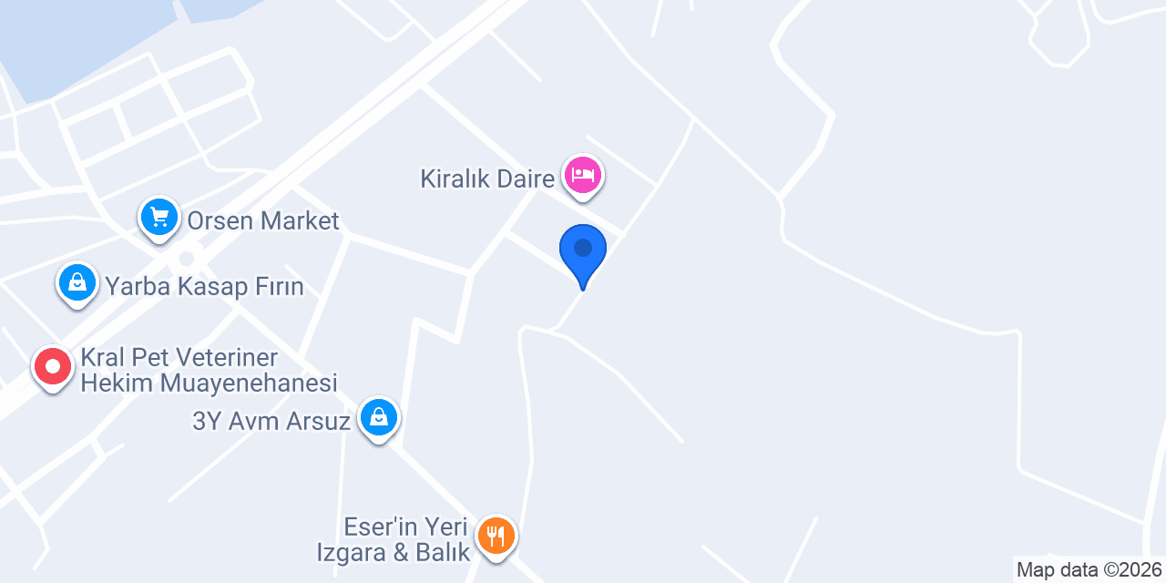Aslan Ticaret konumu