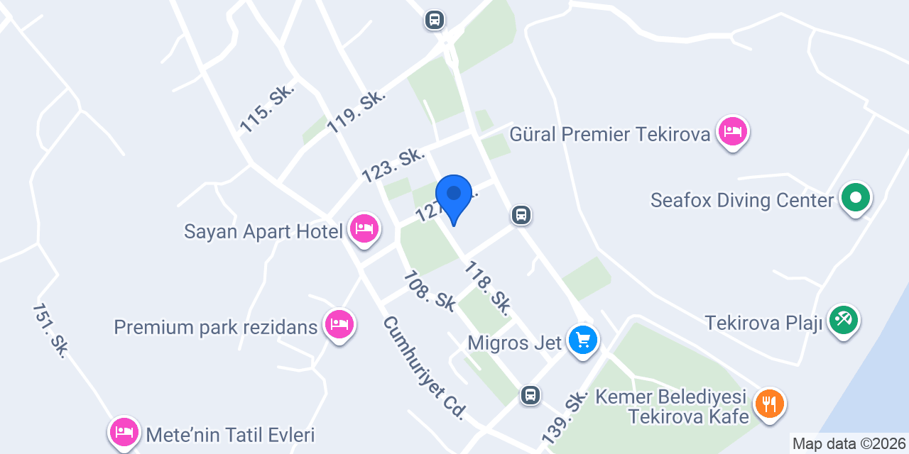 Aynur Terzi konumu