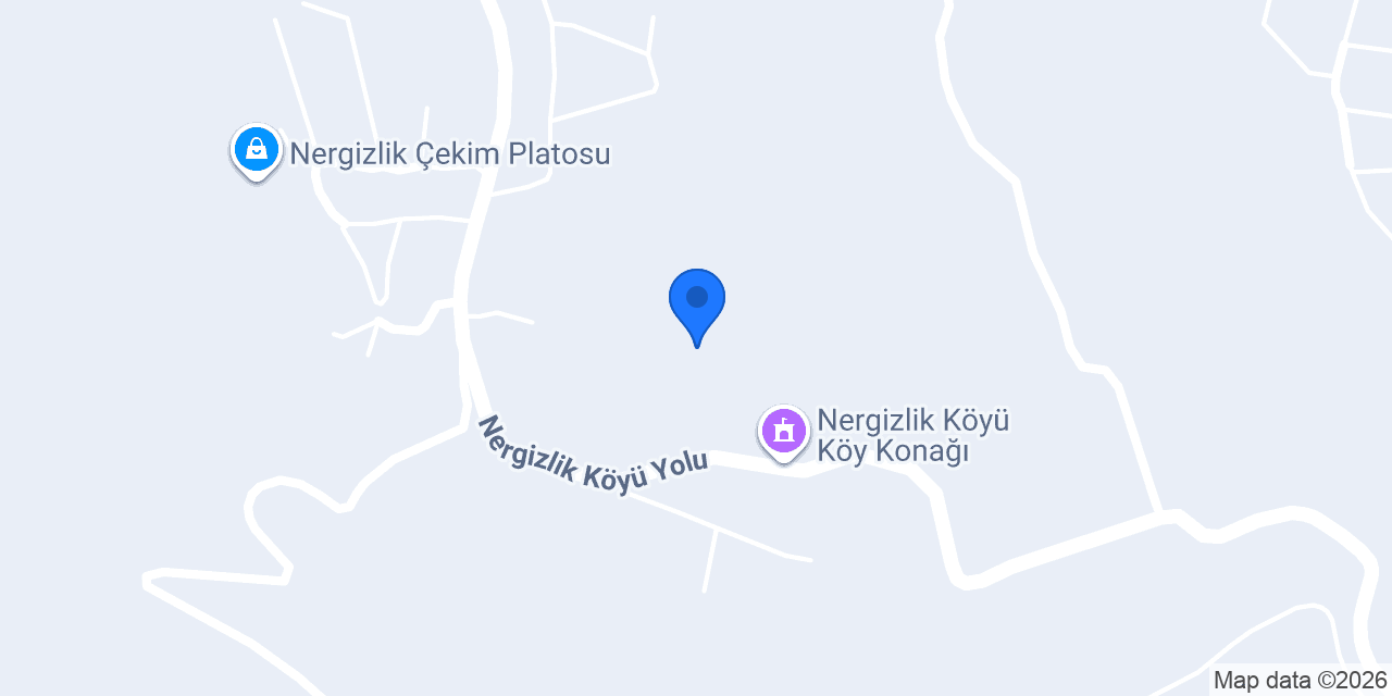 Nergizlik Köyü Muhtarlığı konumu