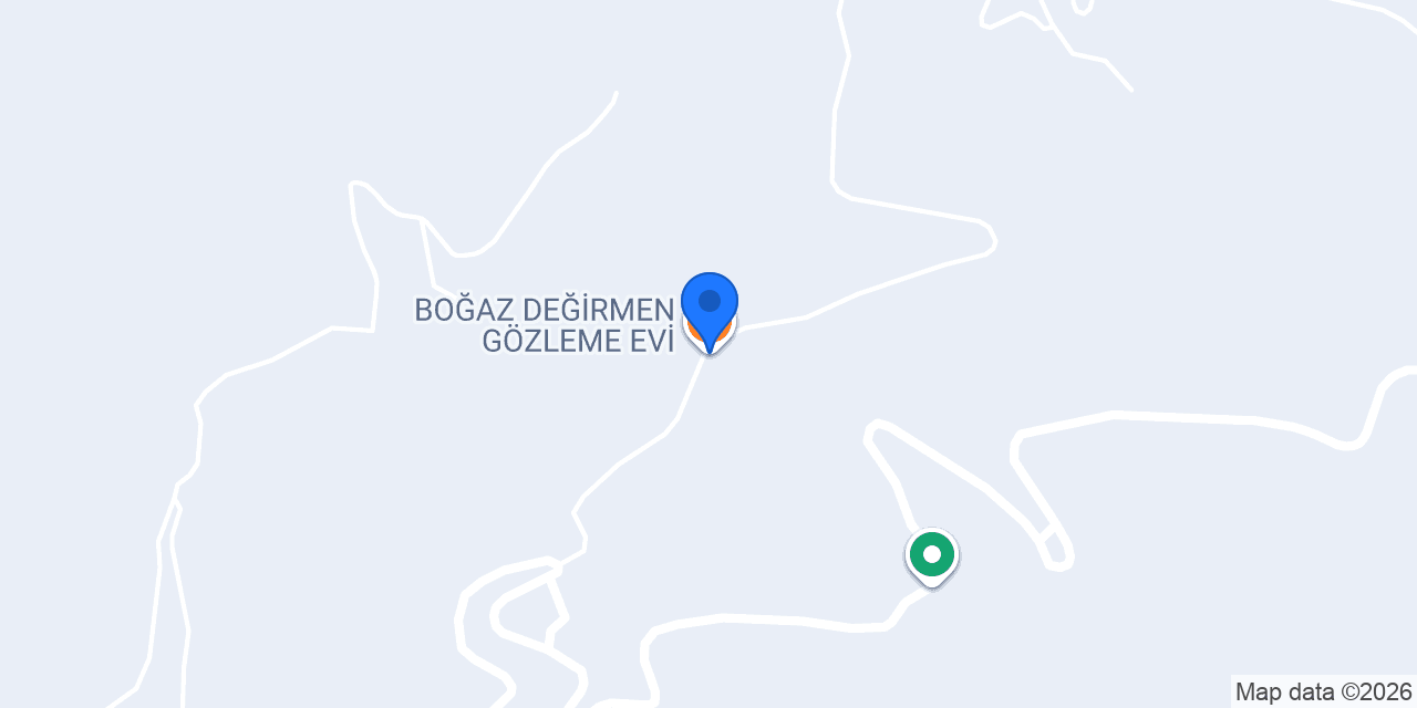 BOĞAZ DEĞİRMEN GÖZLEME EVİ konumu