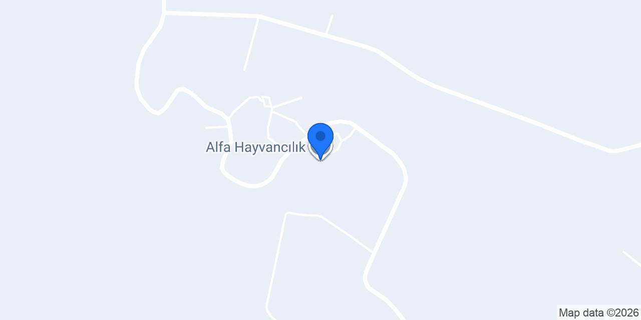Alfa Hayvancılık konumu