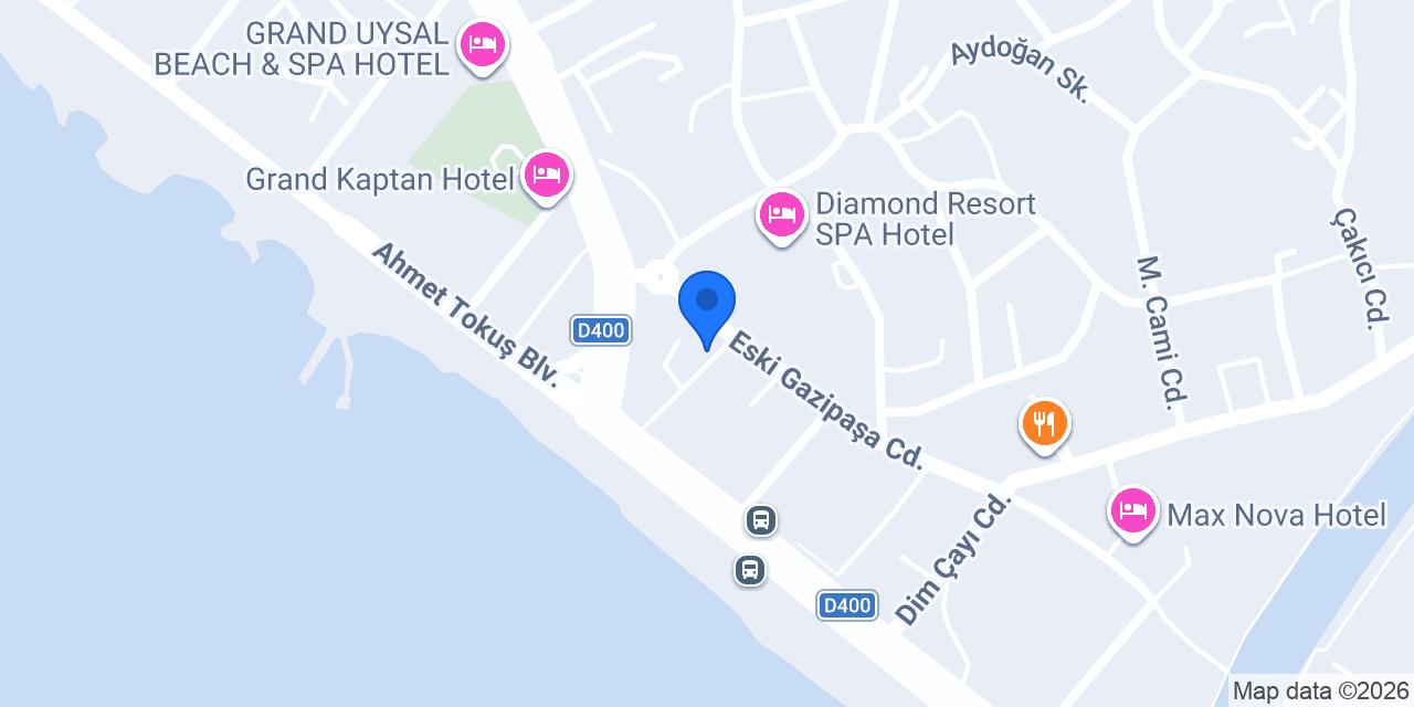 Türkiye'de Geziler konumu