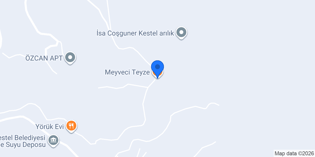 Meyveci Teyze konumu