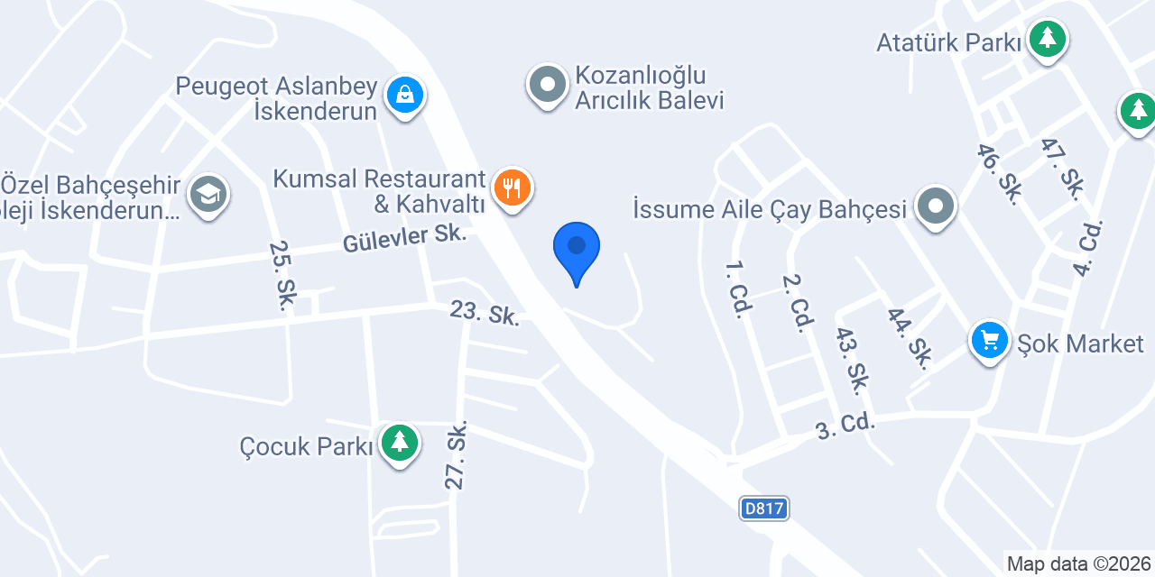 RS SERVİS İSKENDERUN BİSAŞ MOTORLU ARAÇLAR konumu