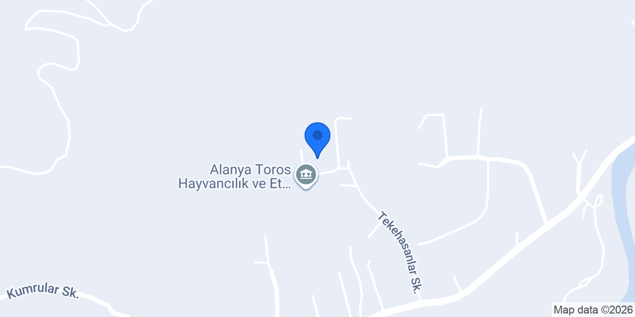 Güler orman ürünleri konumu