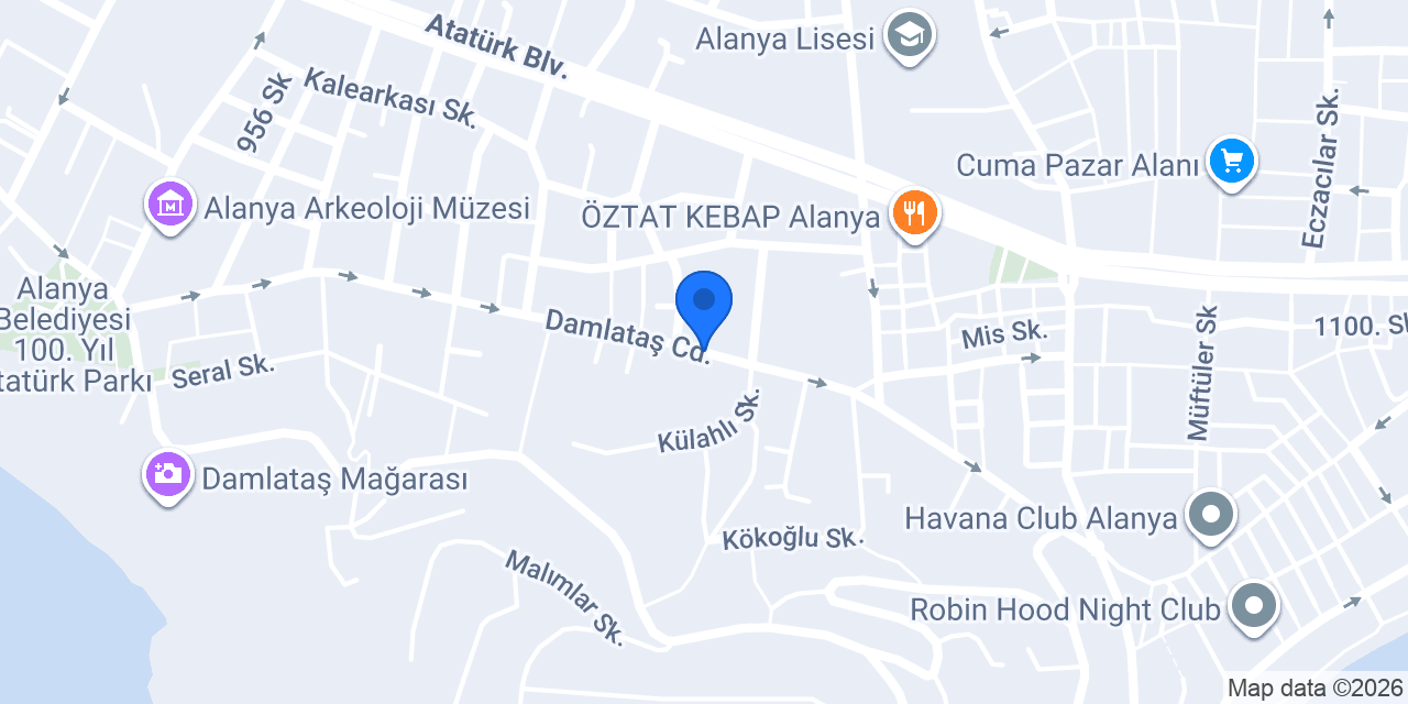 Net Plastik konumu