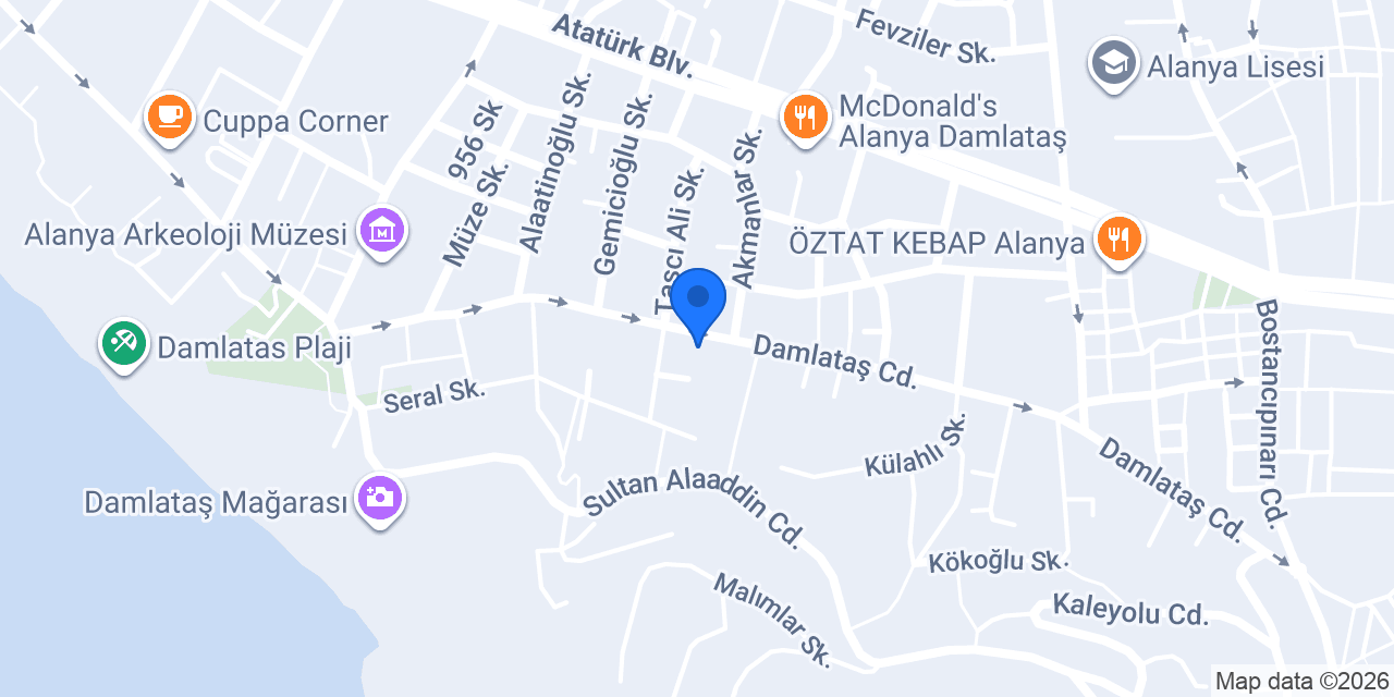 724 VitoJet Vip Transfer konumu