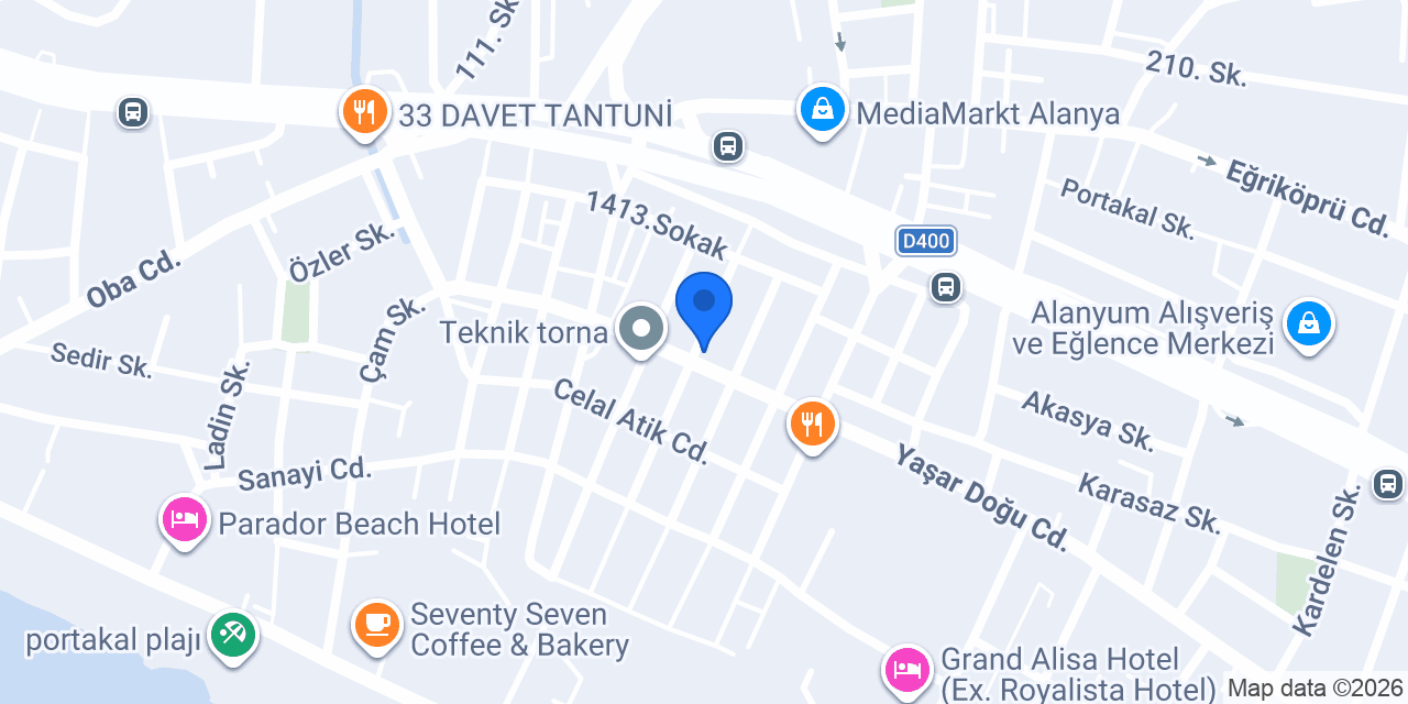 BAYEZİT AUTO SERVICE konumu