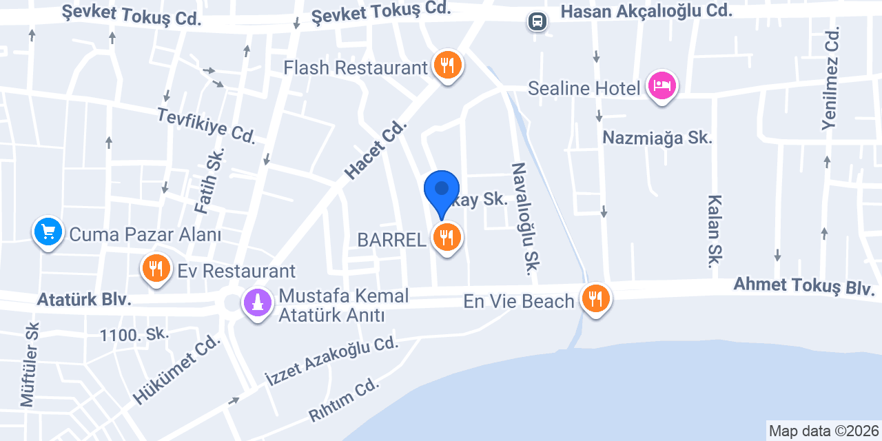 HALİL İBRAHİM KARAALP, SMMM konumu