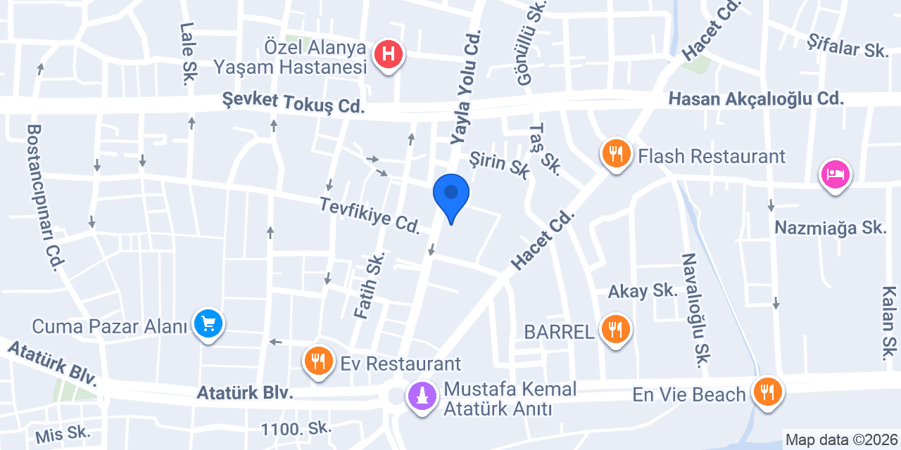 WHİTE VİZE GLOBAL DANIŞMANLIK konumu