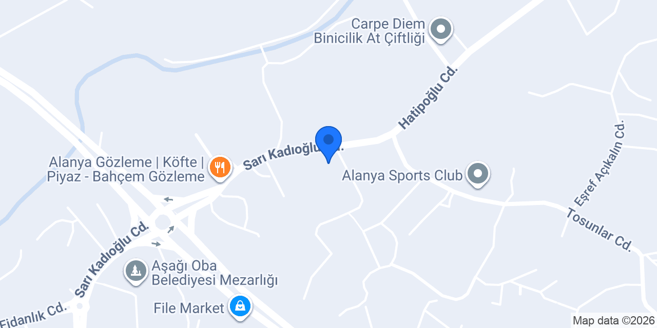 Alanya Uysal Odunculuk konumu