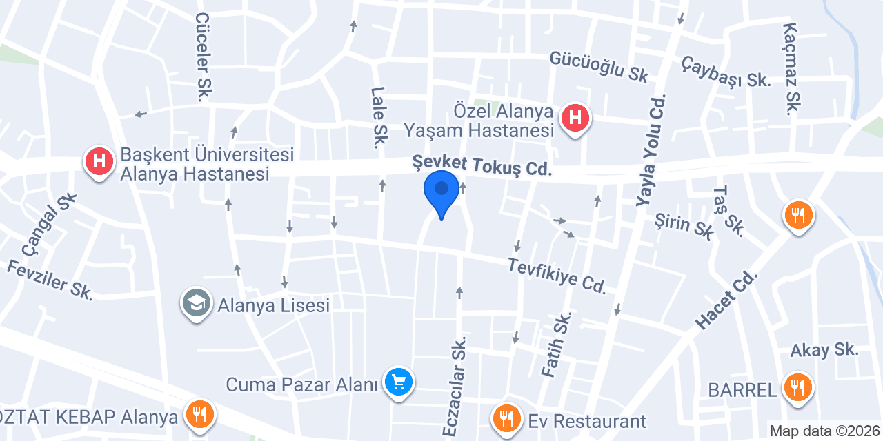 Terzi Fatma Hanım konumu