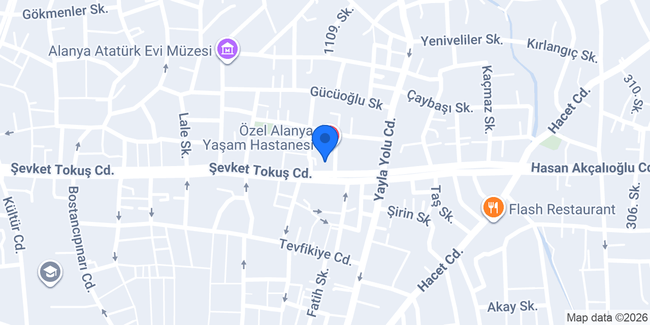Noyan Eczanesi konumu