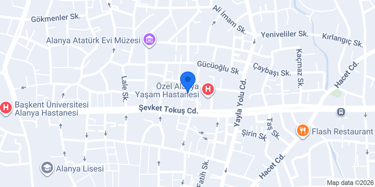 Alanya Veteriner Kliniği konumu