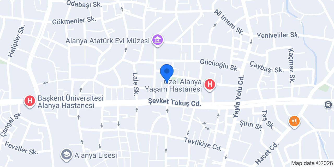 ALANYA PERMİT VİZE TERCÜME DANIŞMANLIK konumu