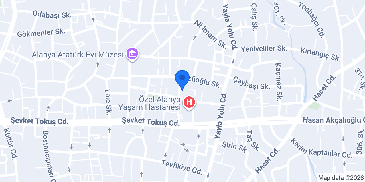 Saray Börekçi̇si̇ konumu