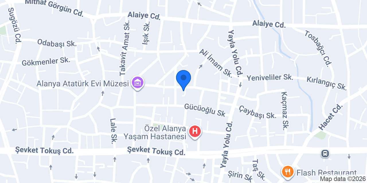 ALANYA MTS ELEKTRİK & KAMERA konumu