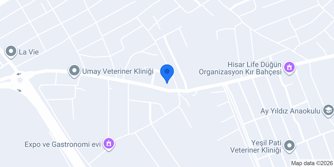 Bek-Mer Auto Group konumu
