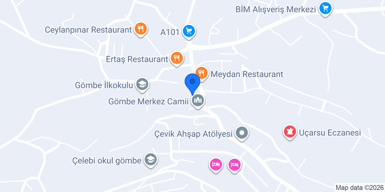 Aile Hekimliği konumu