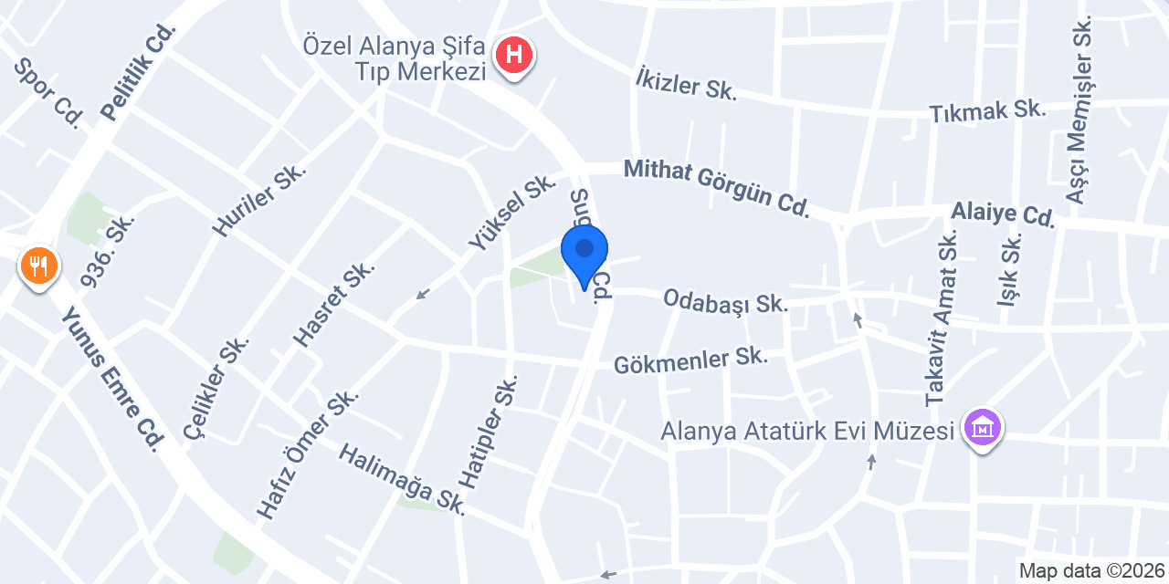 Green Vize Danışmanlık konumu