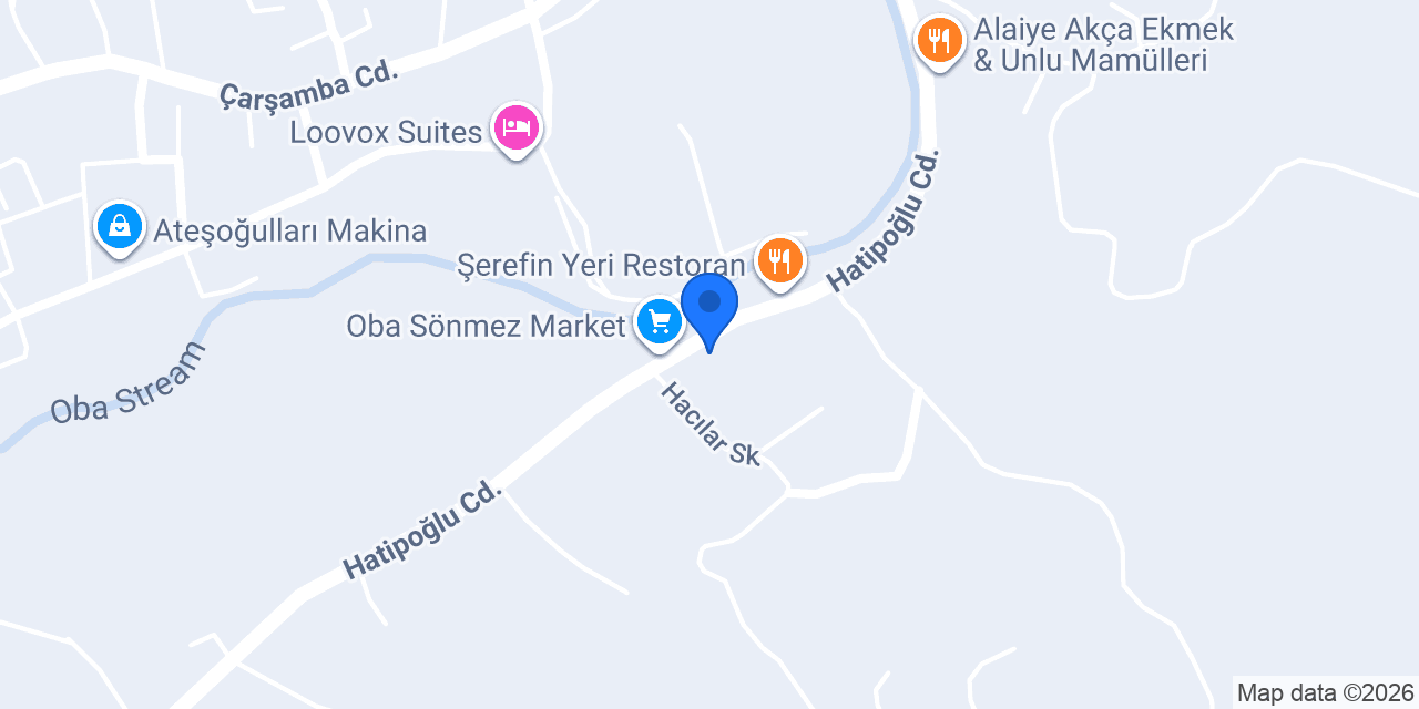 Alanya aslan mobilya konumu