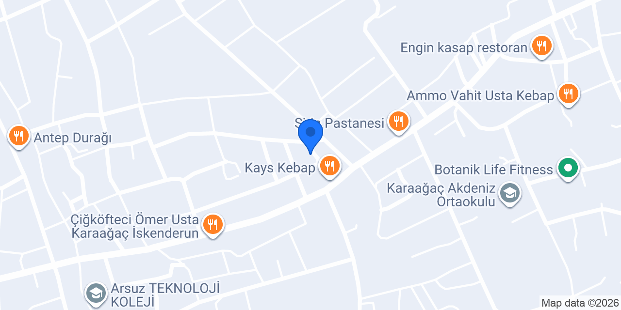 özel iskenderun ZO cerrahi tıp merkezi konumu