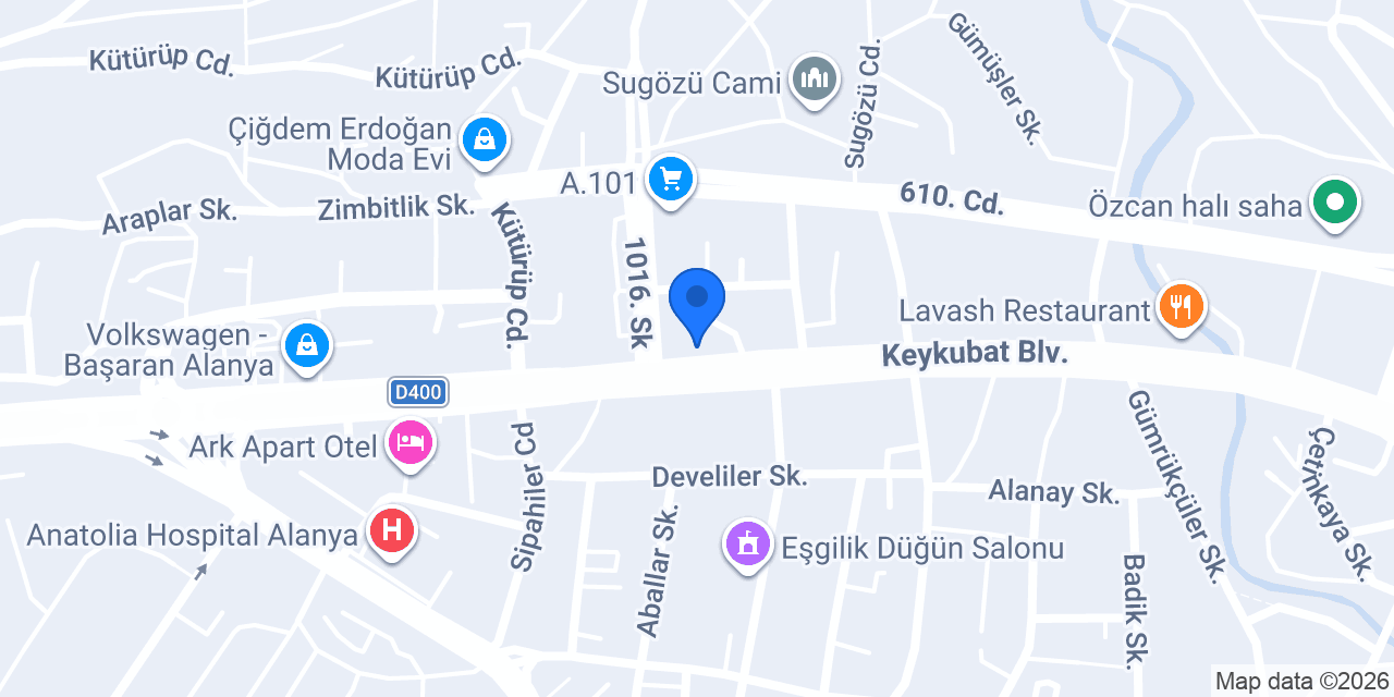 BOZKURT AUTO konumu