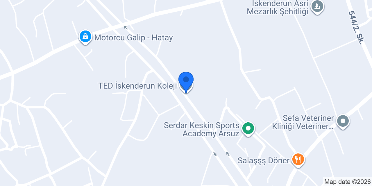TED İskenderun Koleji konumu