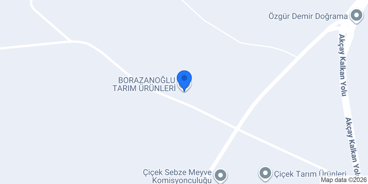 BORAZANOĞLU TARIM ÜRÜNLERİ konumu