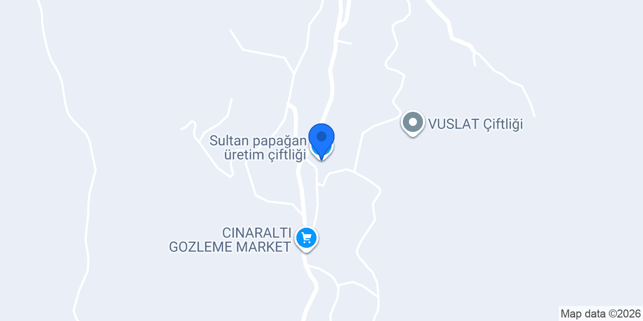 Sultan papağan üretim çiftliği konumu