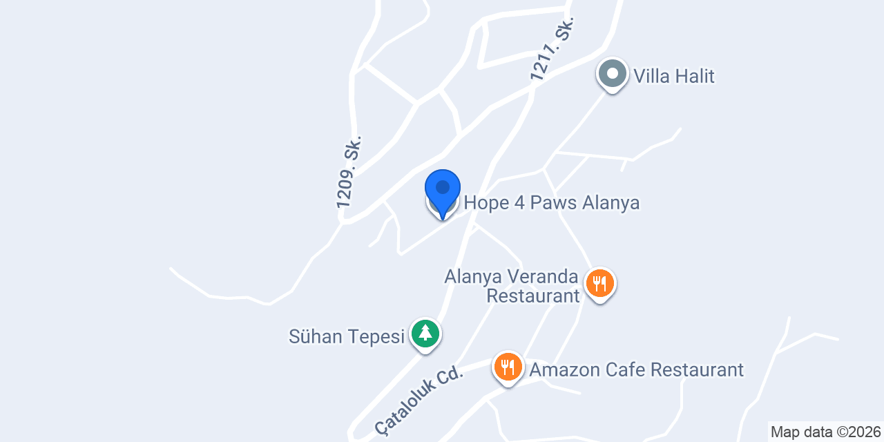 Hope 4 Paws Alanya konumu