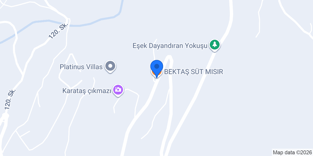 BEKTAŞ SÜT MISIR konumu
