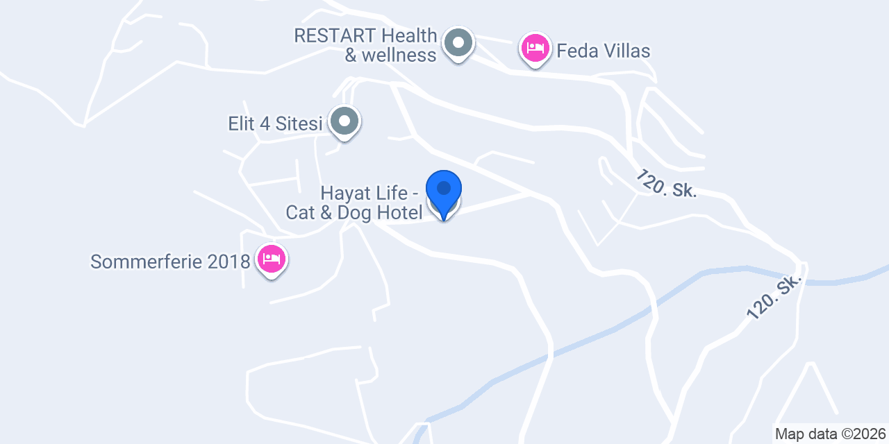 Hayat Life - Cat & Dog Hotel konumu