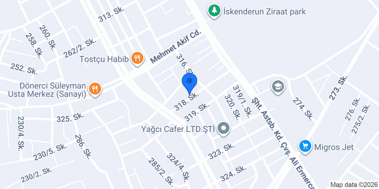 Tanın Otomotiv konumu
