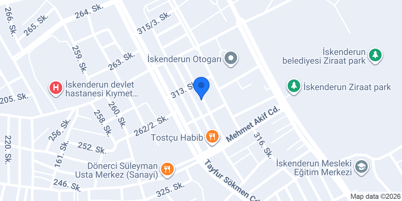Altınel Oto Lpg konumu