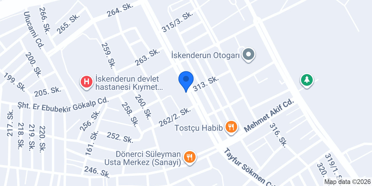 Ergin Otomotiv konumu