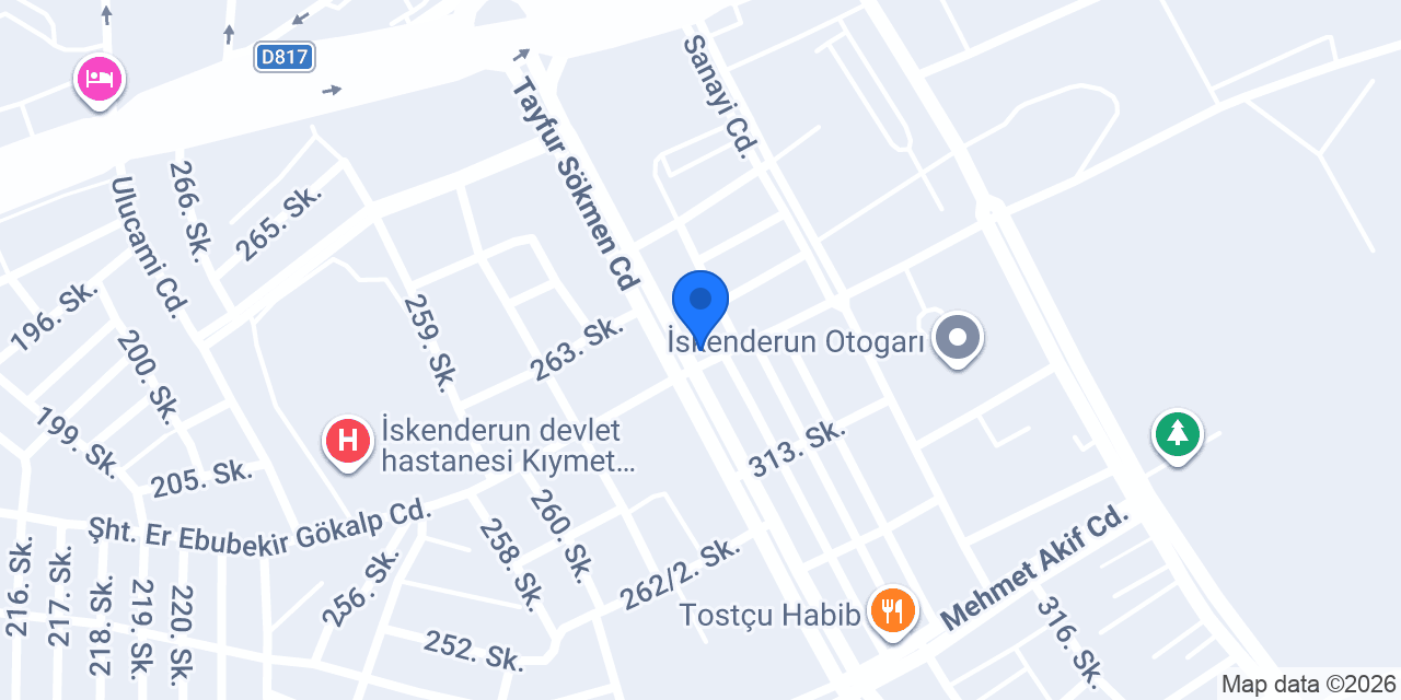 HOSPİTACAR İSKENDERUN YETKİLİ OTO EKSPERTİZ konumu