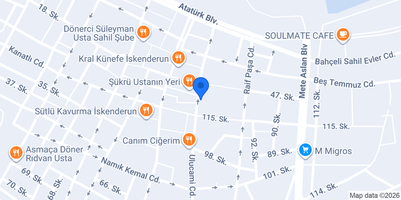 Gündüz Almanya Danışmanlık konumu