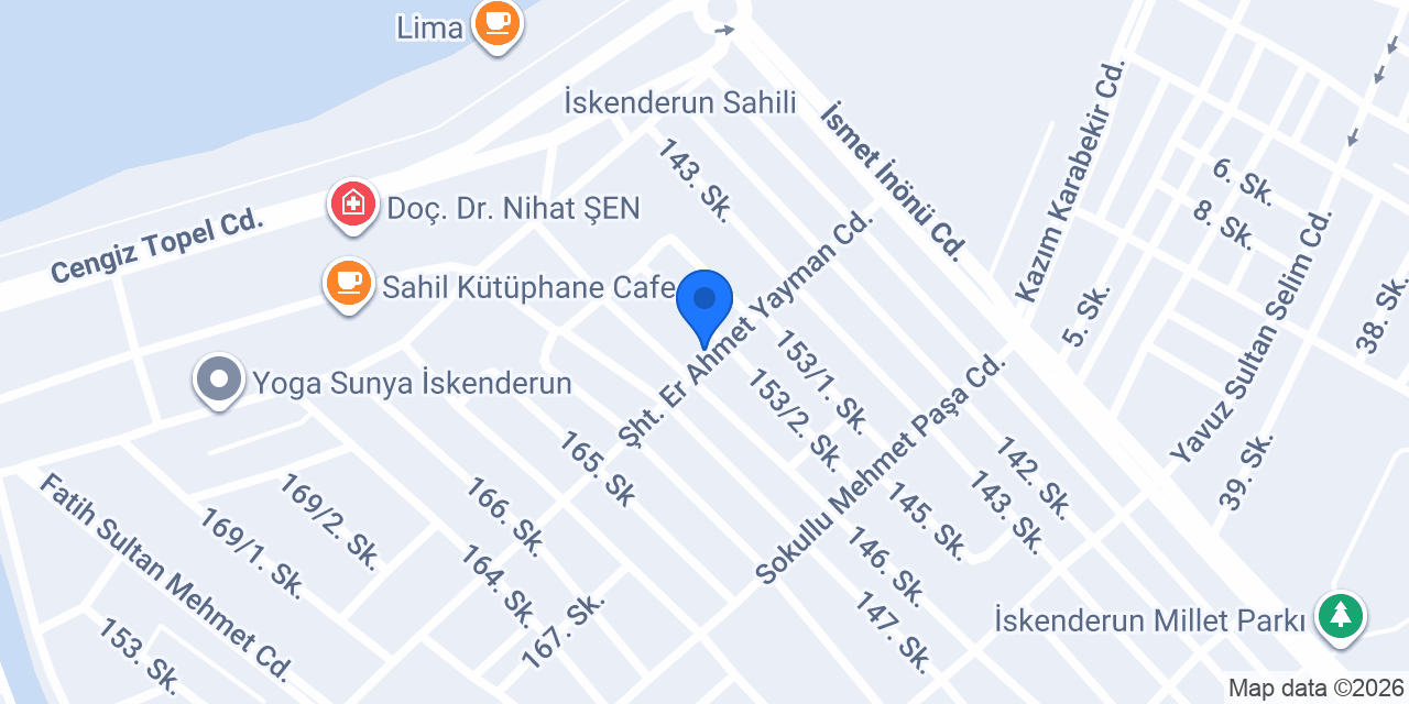 Lion Kuru Temizleme konumu