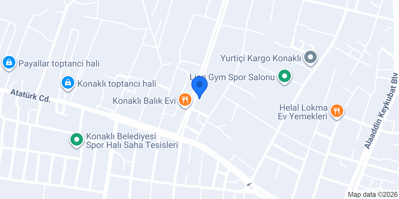 YFS MOTOR & ELEKTRONİK konumu